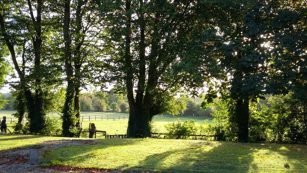 Rings Coach House Retreat Villa Carlow Esterno foto